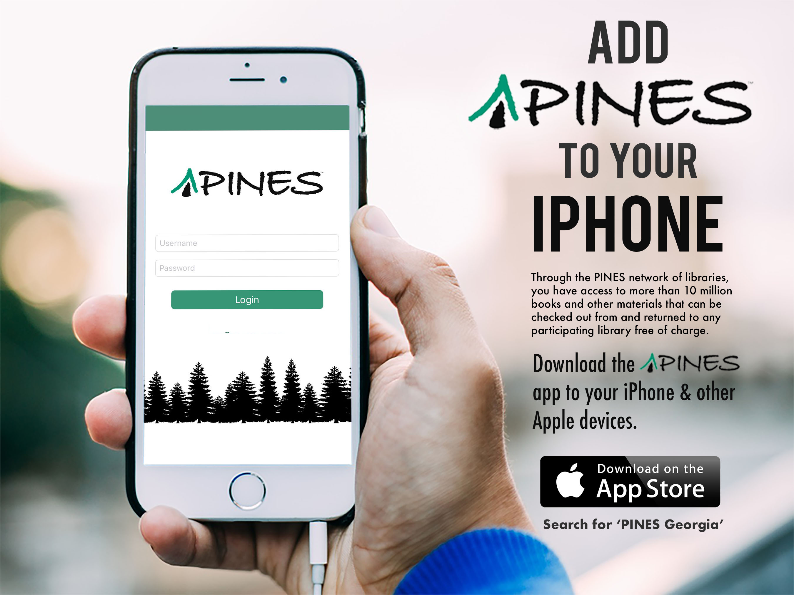 pines-for-apple.jpg